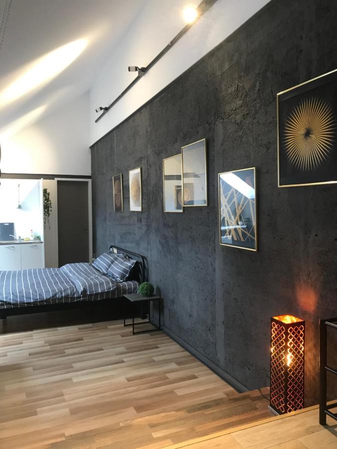 Savoya Nr3 Studio Old City Center Self Check-In Timisoara Exterior foto